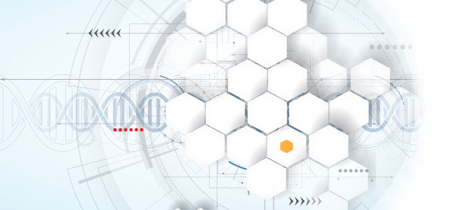 bluecallom dream team